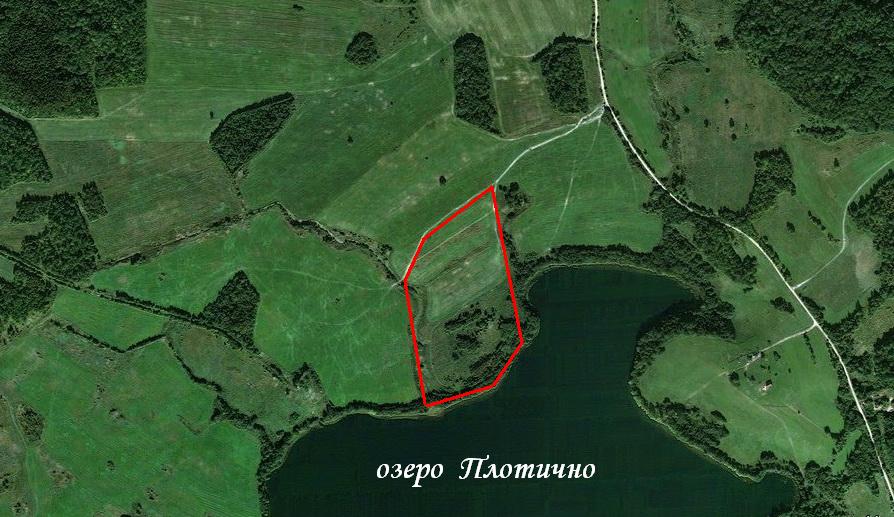 Озеро Плотично Псковской области. Гектар у озера. Озеро Борщачево Володарский. 60 Гектар на карте.